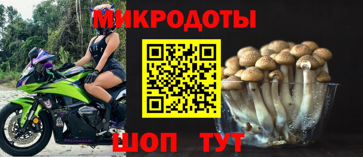 Галлюциногенные грибы GOLDEN TEACHER Пушкино