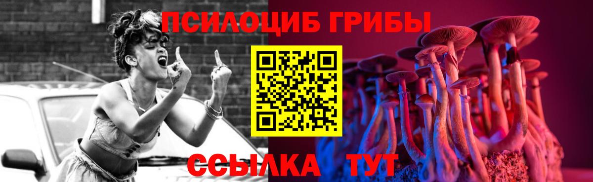 Пушкино  Псилоцибиновые грибы мухоморы  купить наркотик  Вход с VPN 